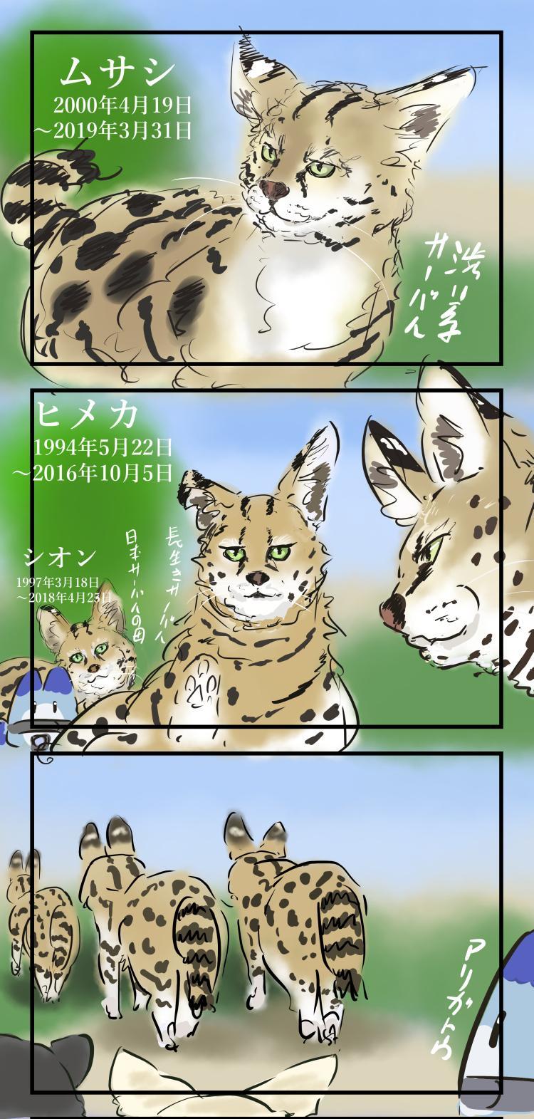P站插画师カコミスル作品图片欣赏,P站ID30998669 P站插画师カコミスル作品图片欣赏,P站ID30998669